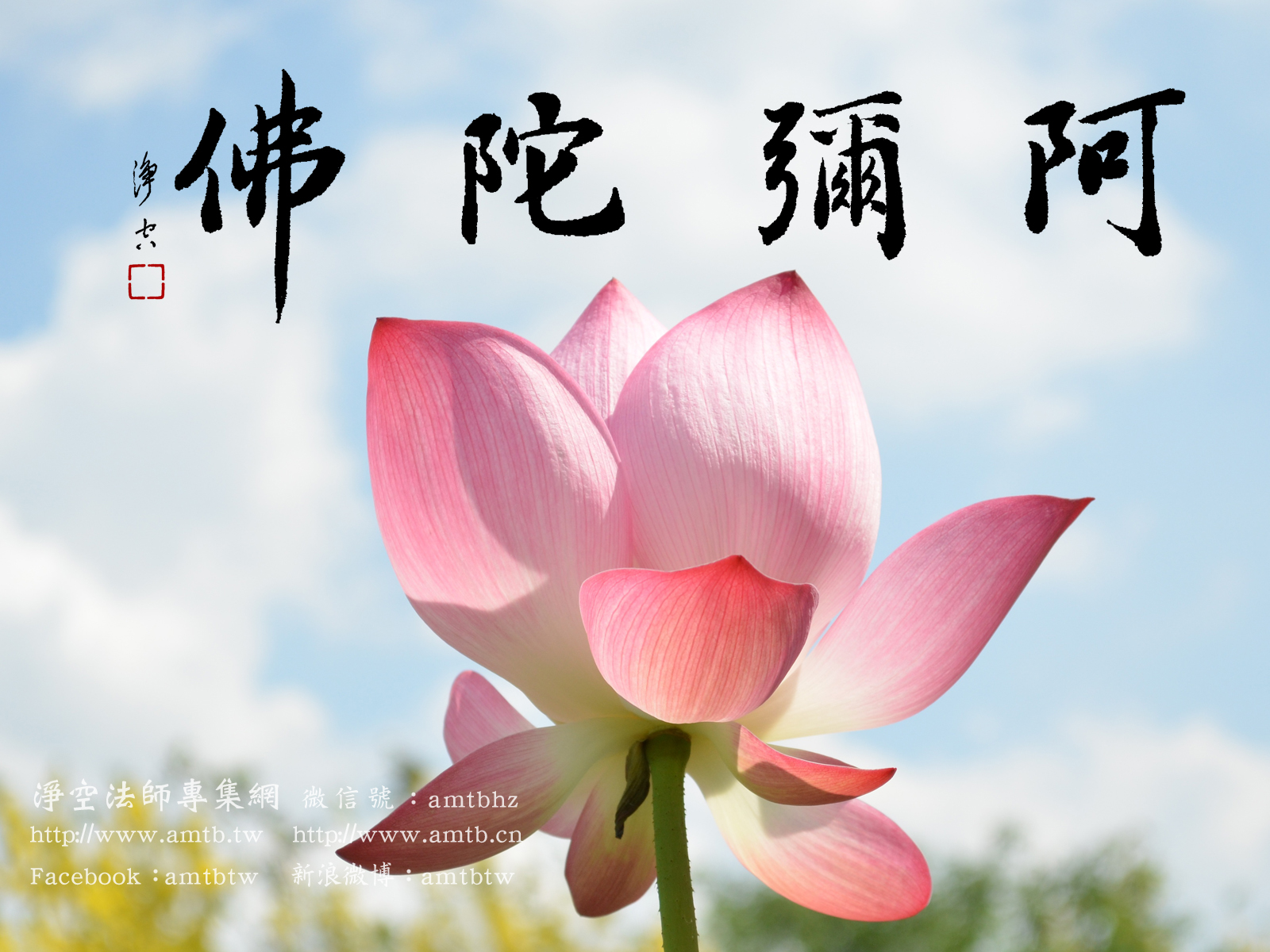 一切要放下，只著一句阿陀佛｜佛法．念佛篇13 – 空老法集．法音宣流